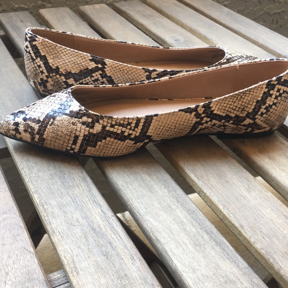 Asos Pointed Snake Flats